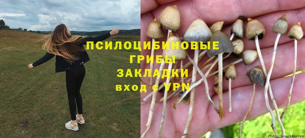 прущие крисы Медногорск