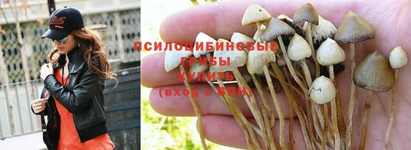 марихуана Медвежьегорск