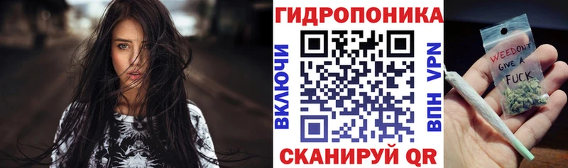 Каннабис сатива  где продают   Талдом 